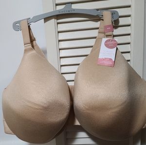 Lane Bryant backsmoothing bra